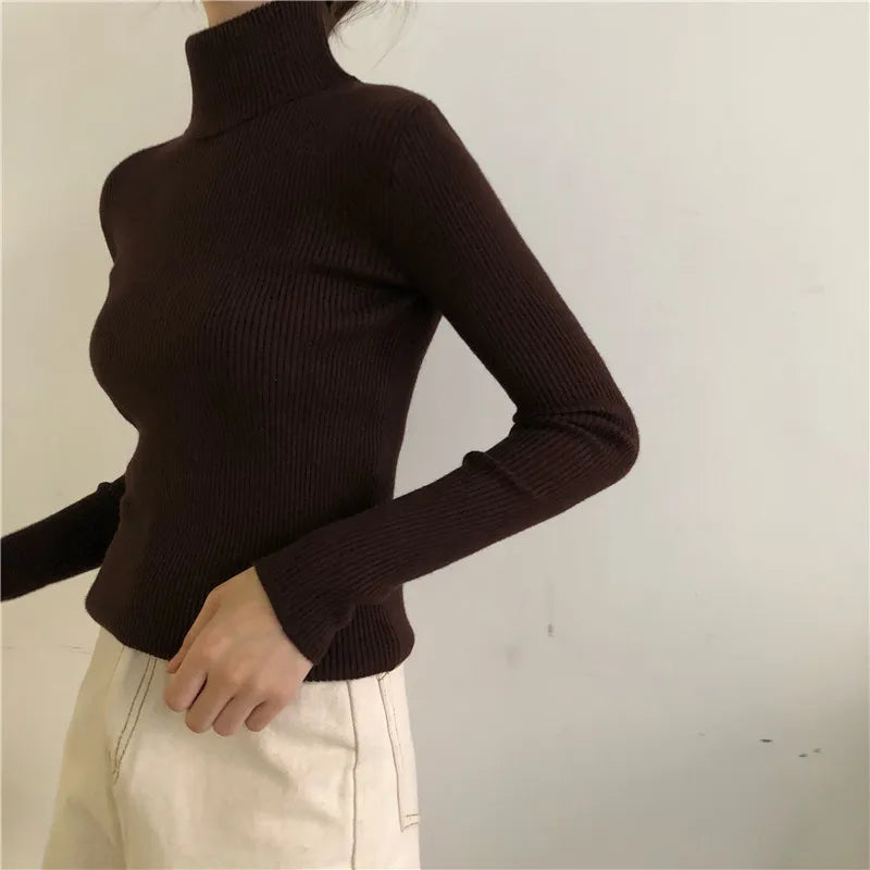 Elegant Turtleneck Women's Sweater Autumn Winter Pullover Slim Bottoming Knitted Tops Casual Long Sleeve Jumper Pull Femme